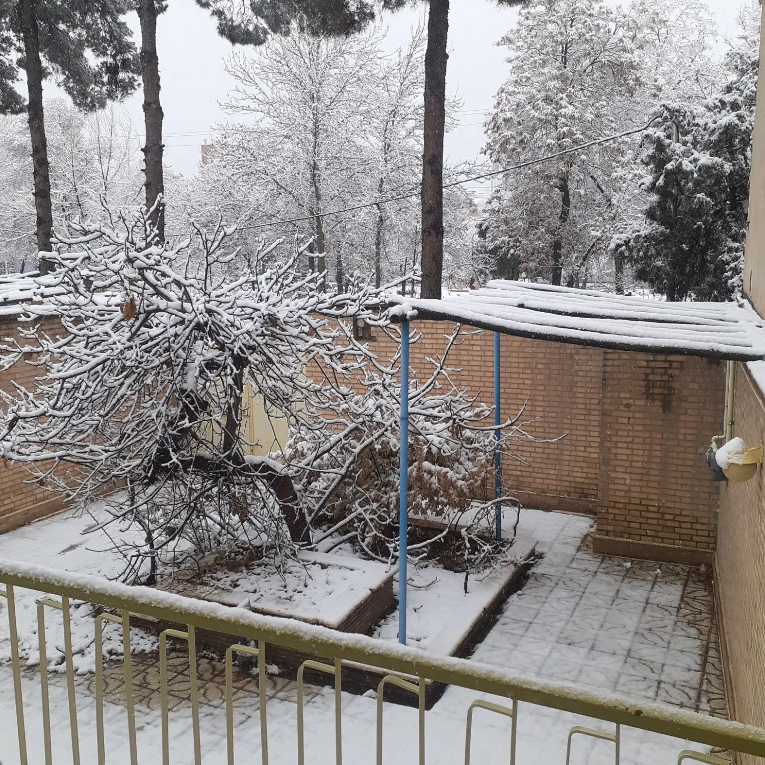 ملک ویلایی