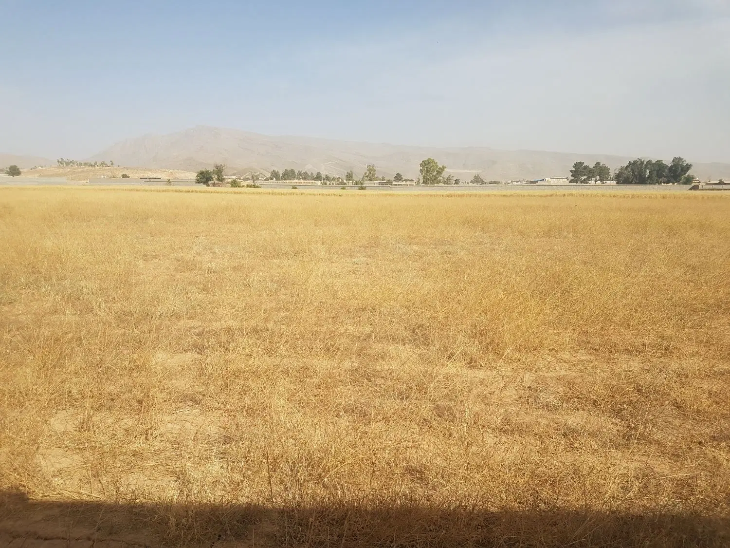 زمین کمربندی کفترک
