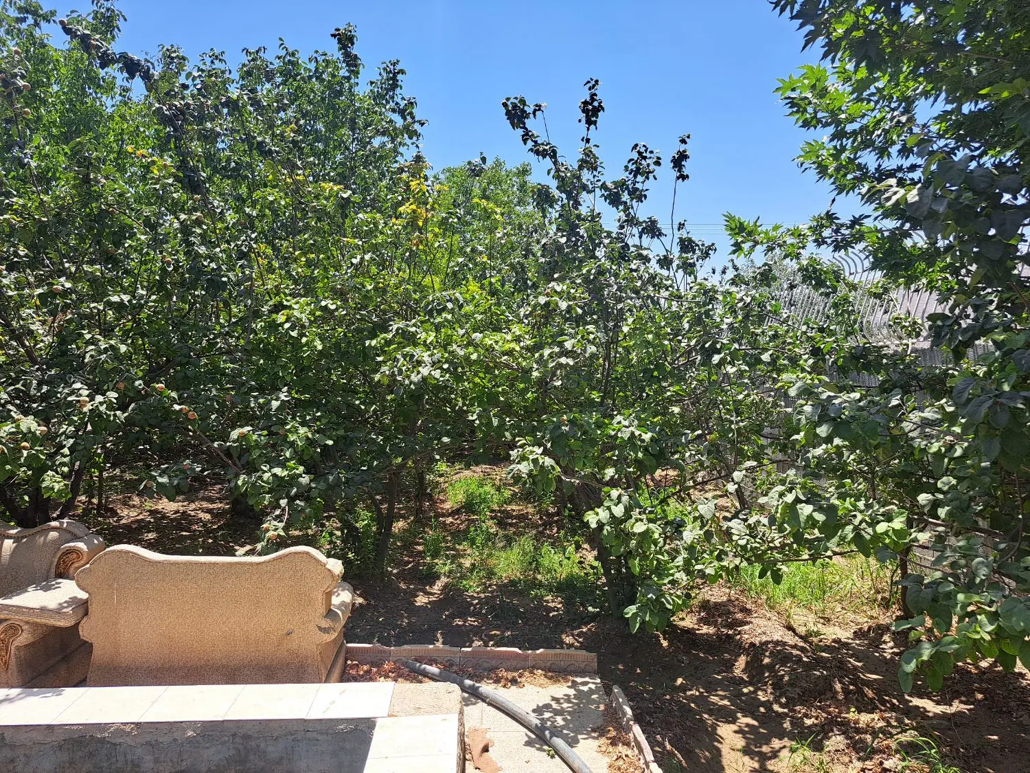 باغ حدود۱۰۰۰متری اشترجان