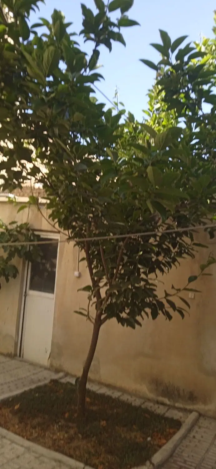منزل مسکونی خ بنی هاشم بر خیابان