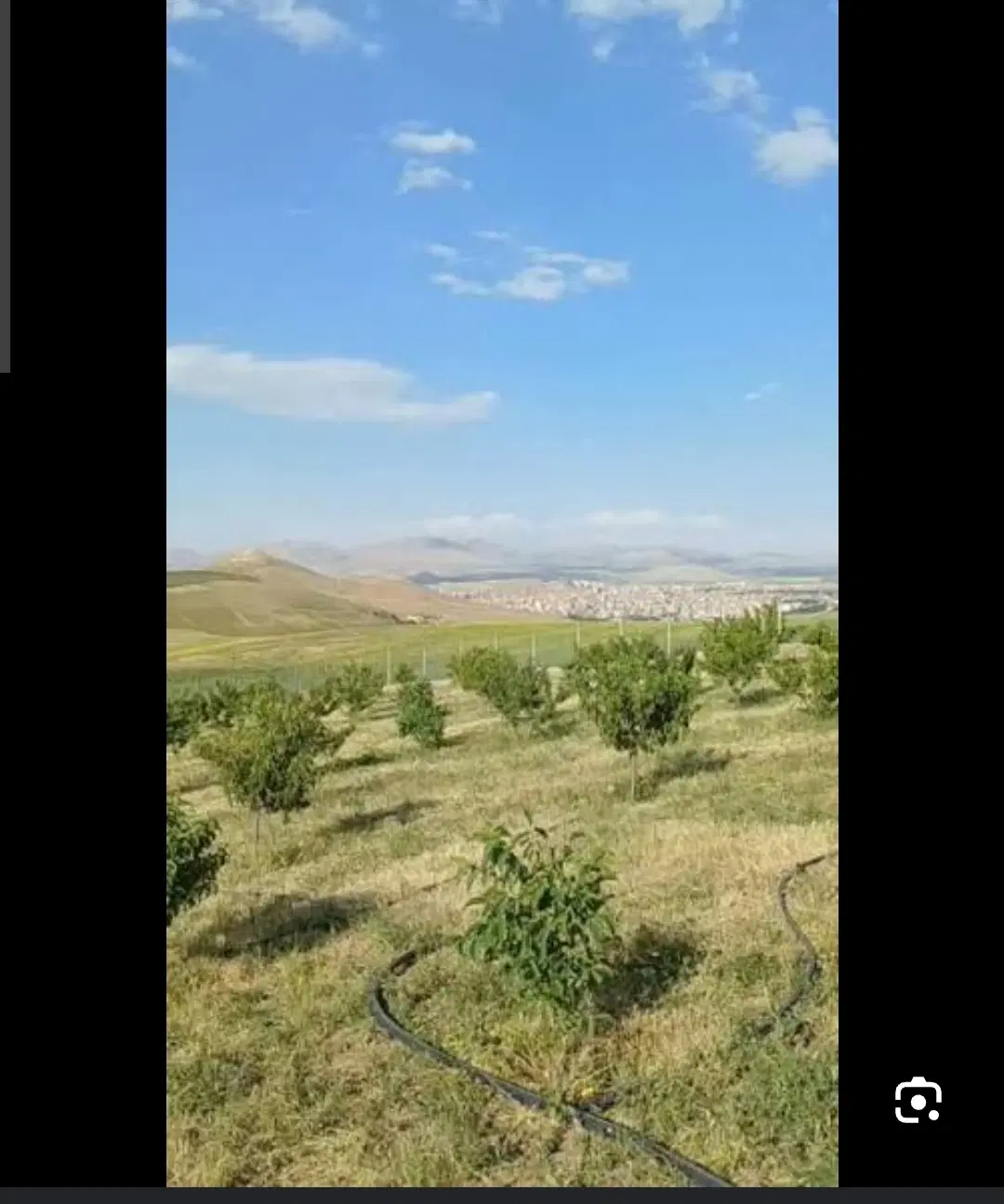 باغ فروشی