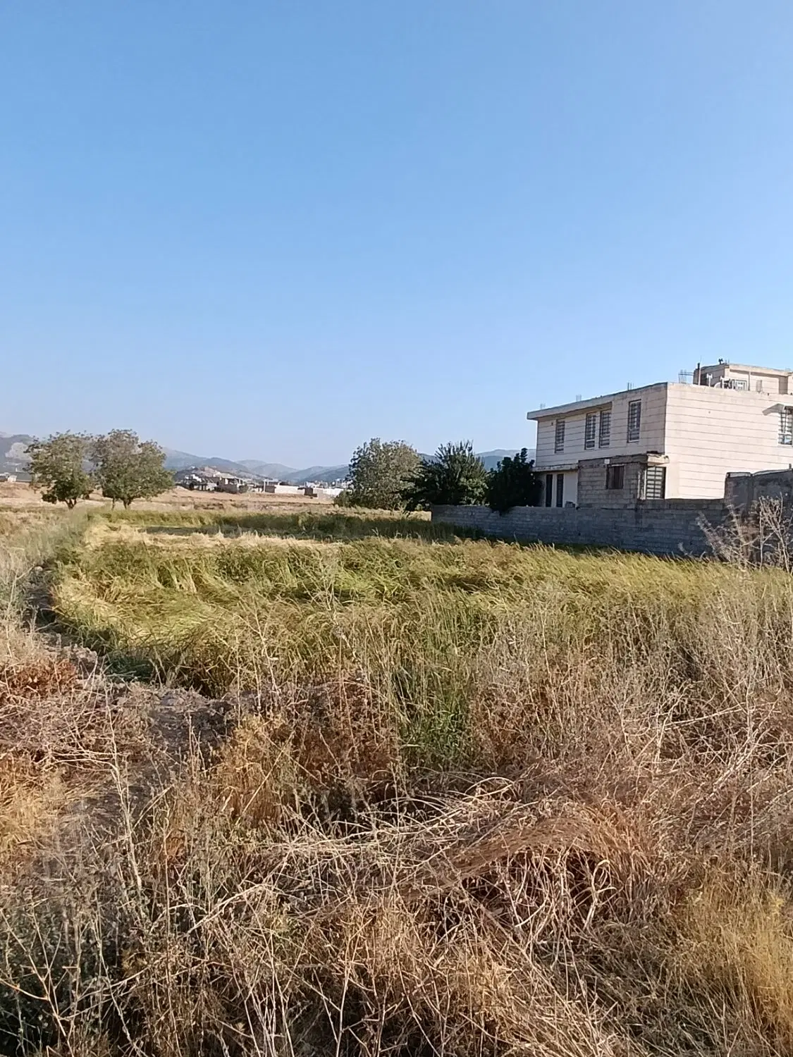 فروش زمین موردراز علیا