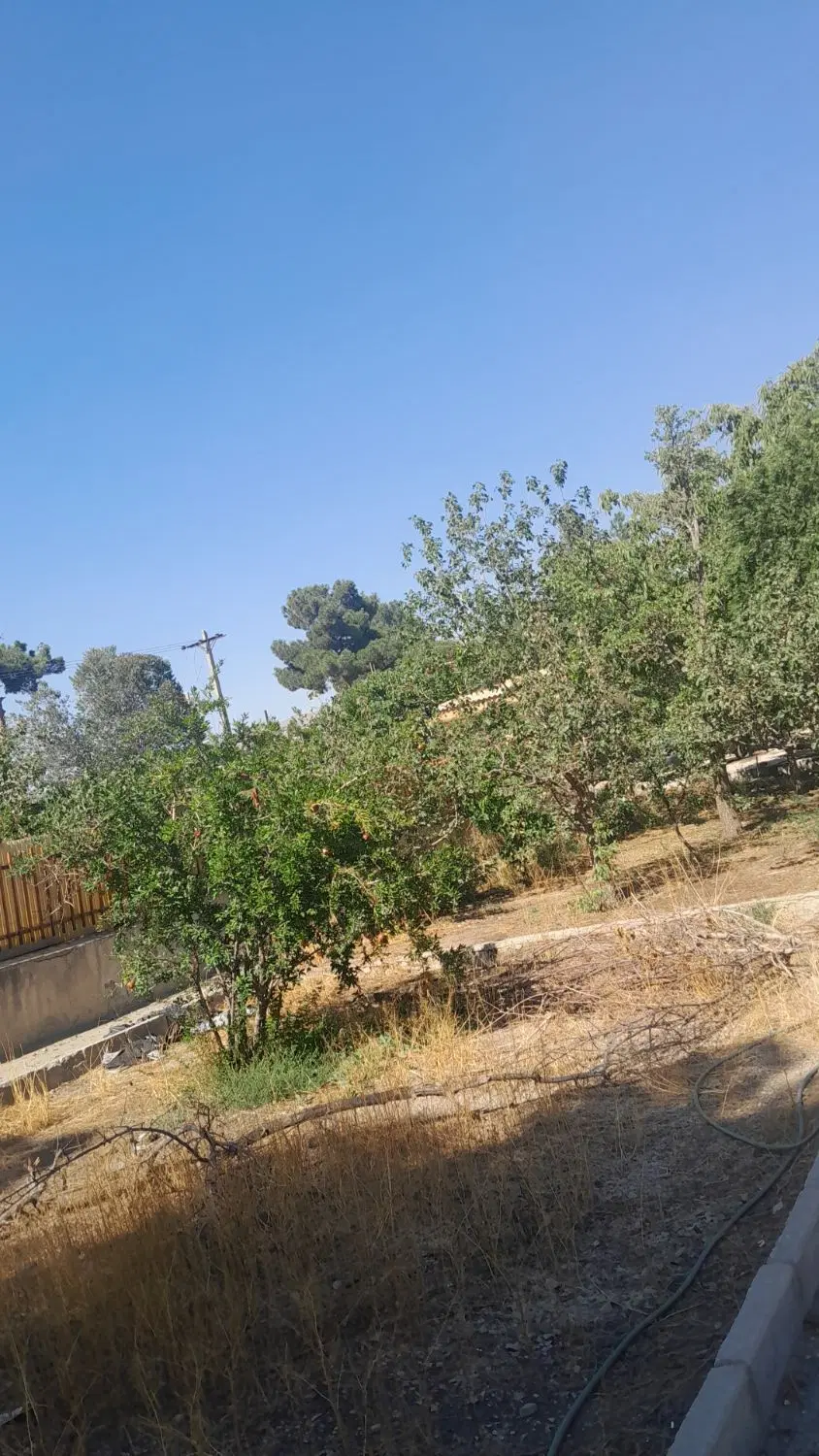 همخونه میخام ویلا باغ هستش