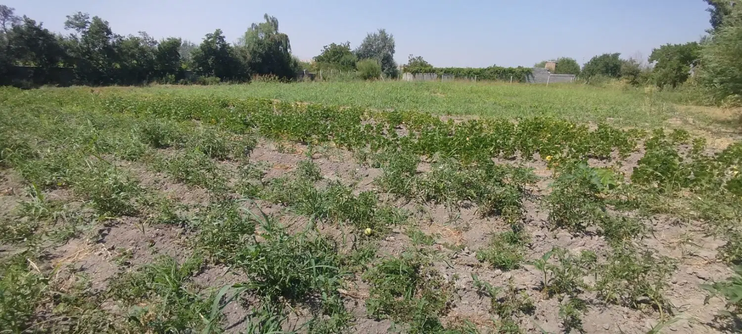 زمین کشاورزی ۲۰۰۰متر دارای برق و چاه پروانه دار