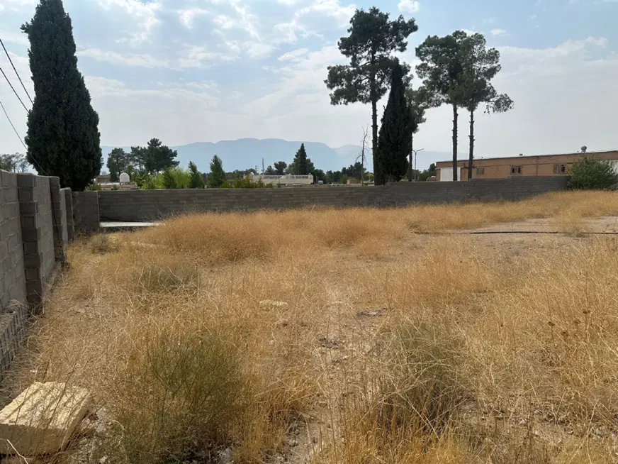زمین باغی تیون