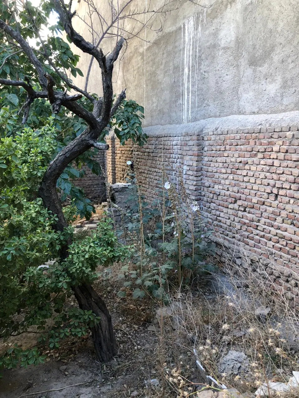 فروش خانه کلنگی در شاه گلی  کوی دانش