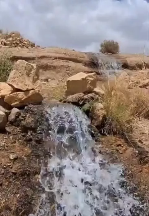 باغ مشجر طرق رود