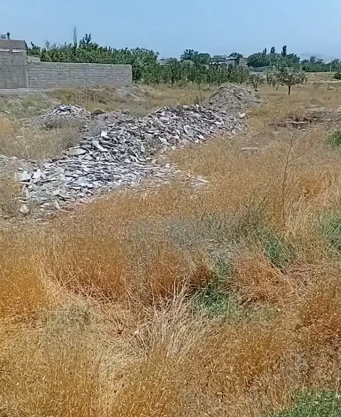 زمین جوکال