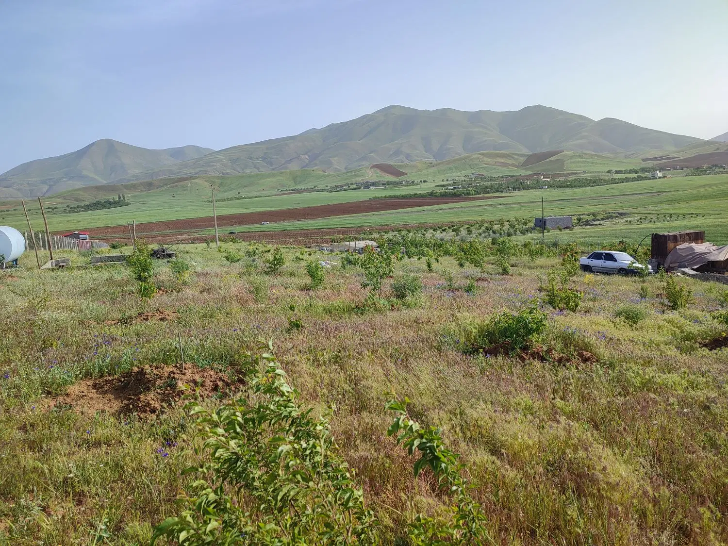 زمین کشاورزی