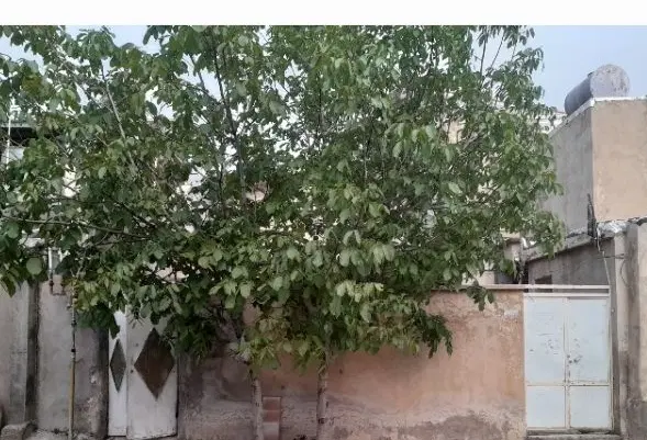 دوطبقه خ قائم شهرک ش کشوری