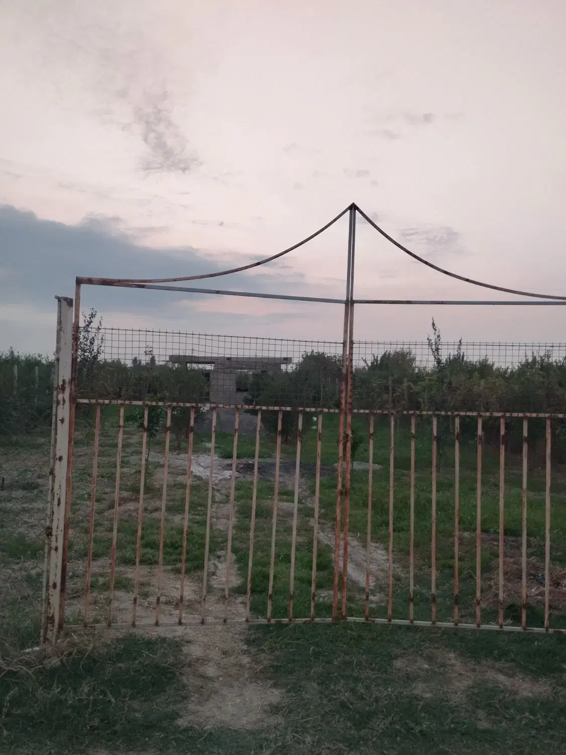 فروش باغچه ۹۰۸ متری