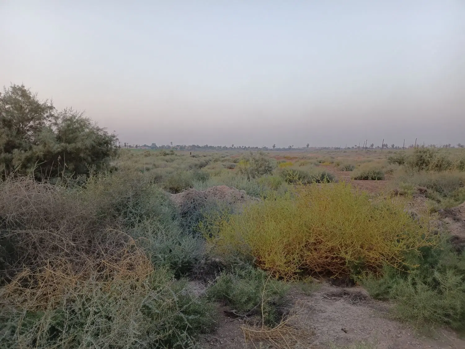 یک قتعه زمین در مینوشهر