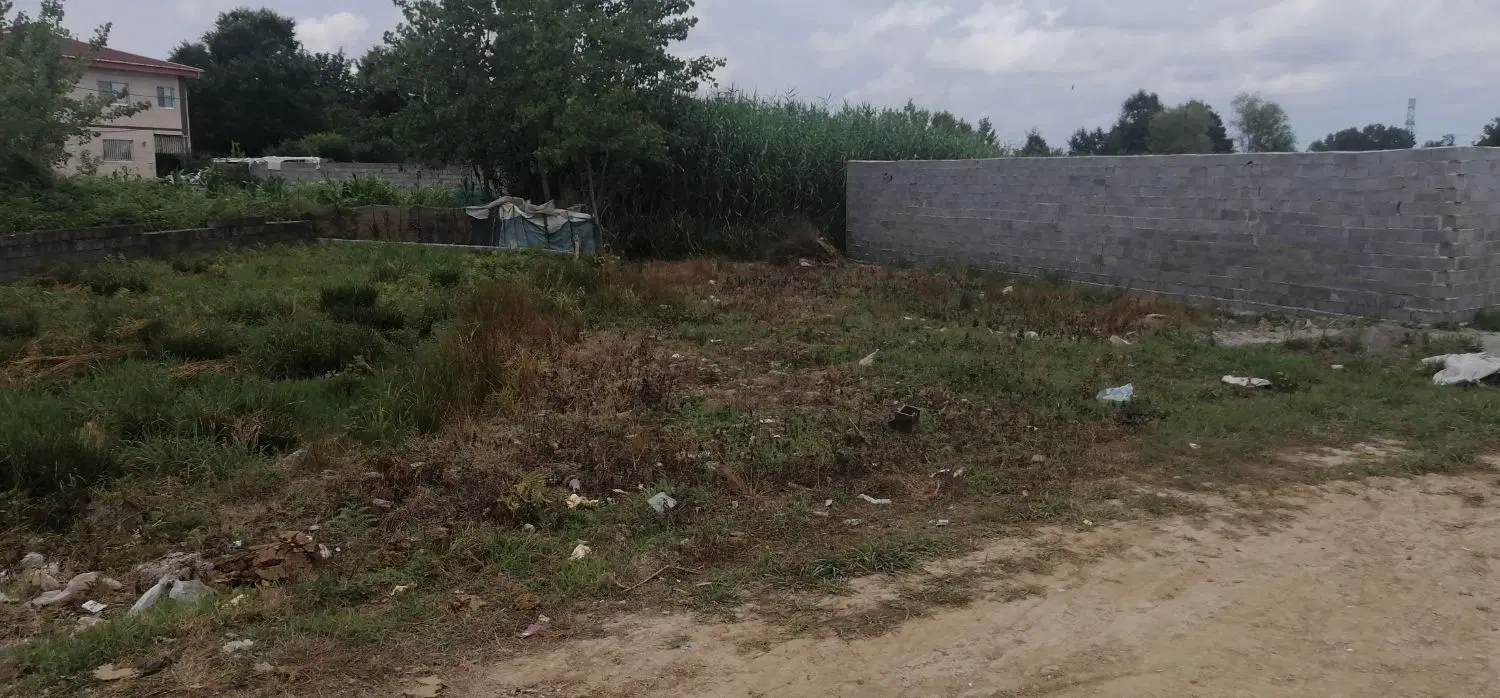 زمین در بیجار بنه پایین لاهیجان