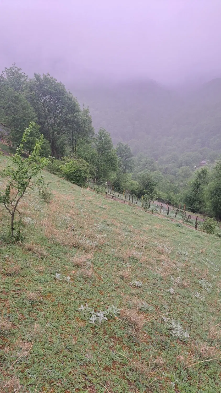 زمین فروشی