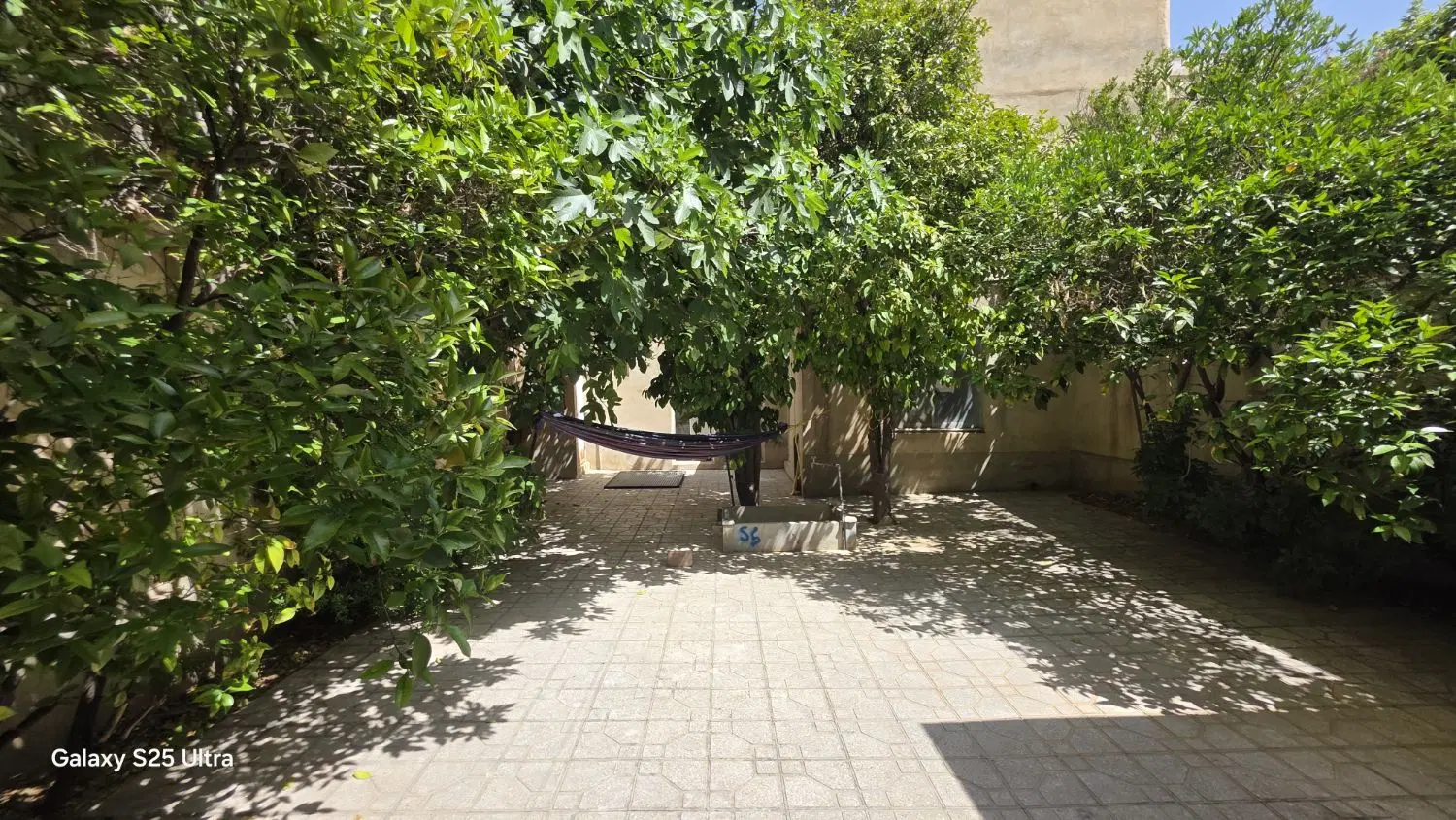 خوابگاه یاس