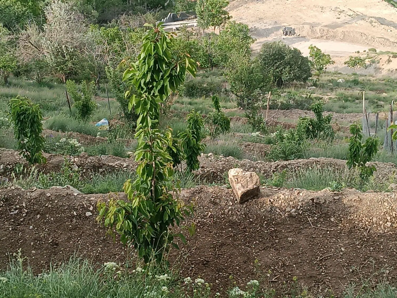 زمین جاده چالوس