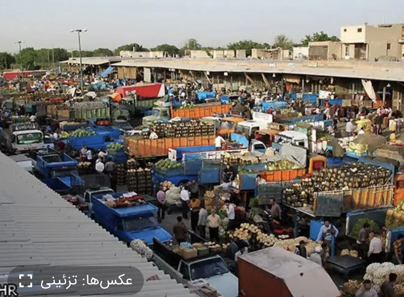 حجره میدان میوه و تره بار مرکزی