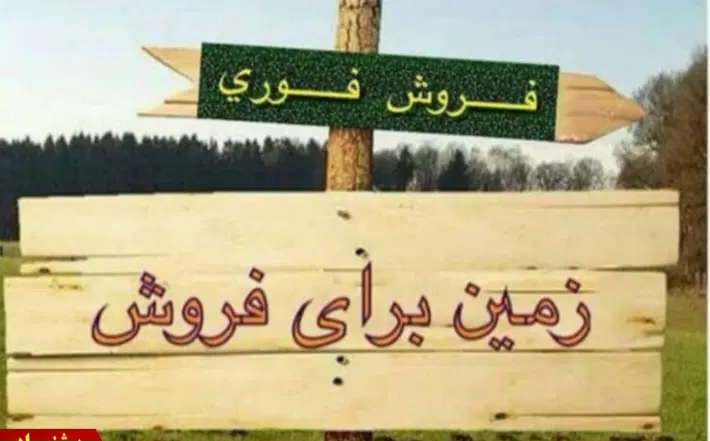 زمین در نیستان