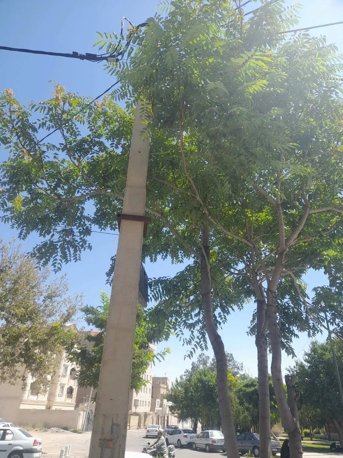 ملک تجاری