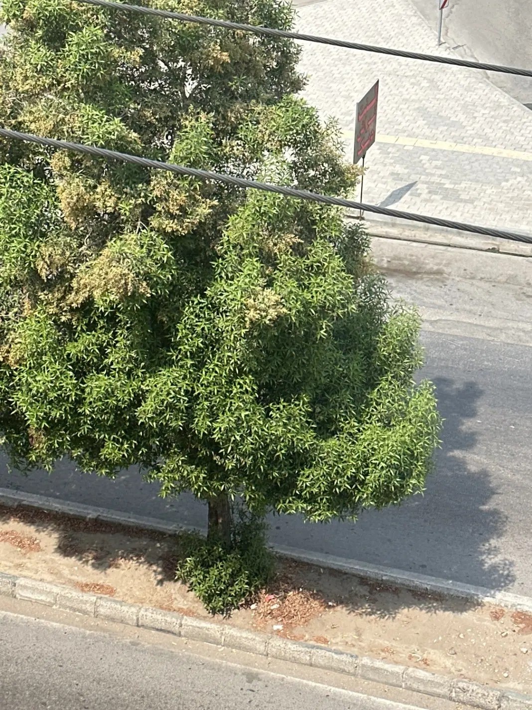 فروش زمین آبشورک