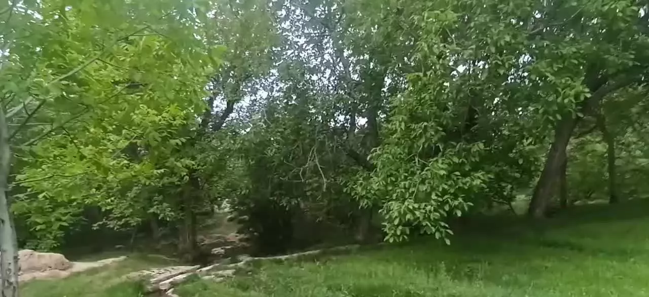 زمین ویلایی در شهر شکوفه های بادام نوبران