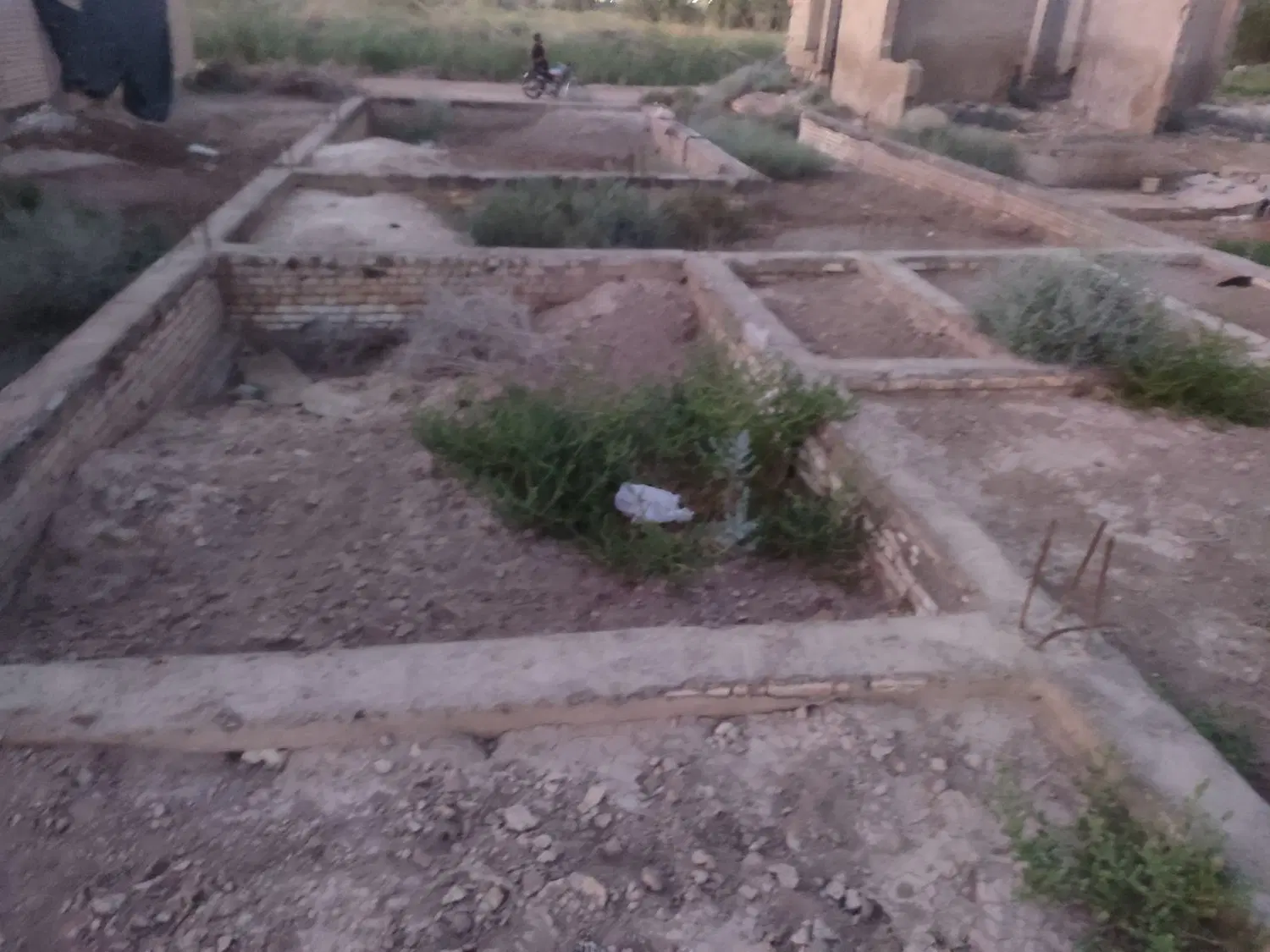 زمین