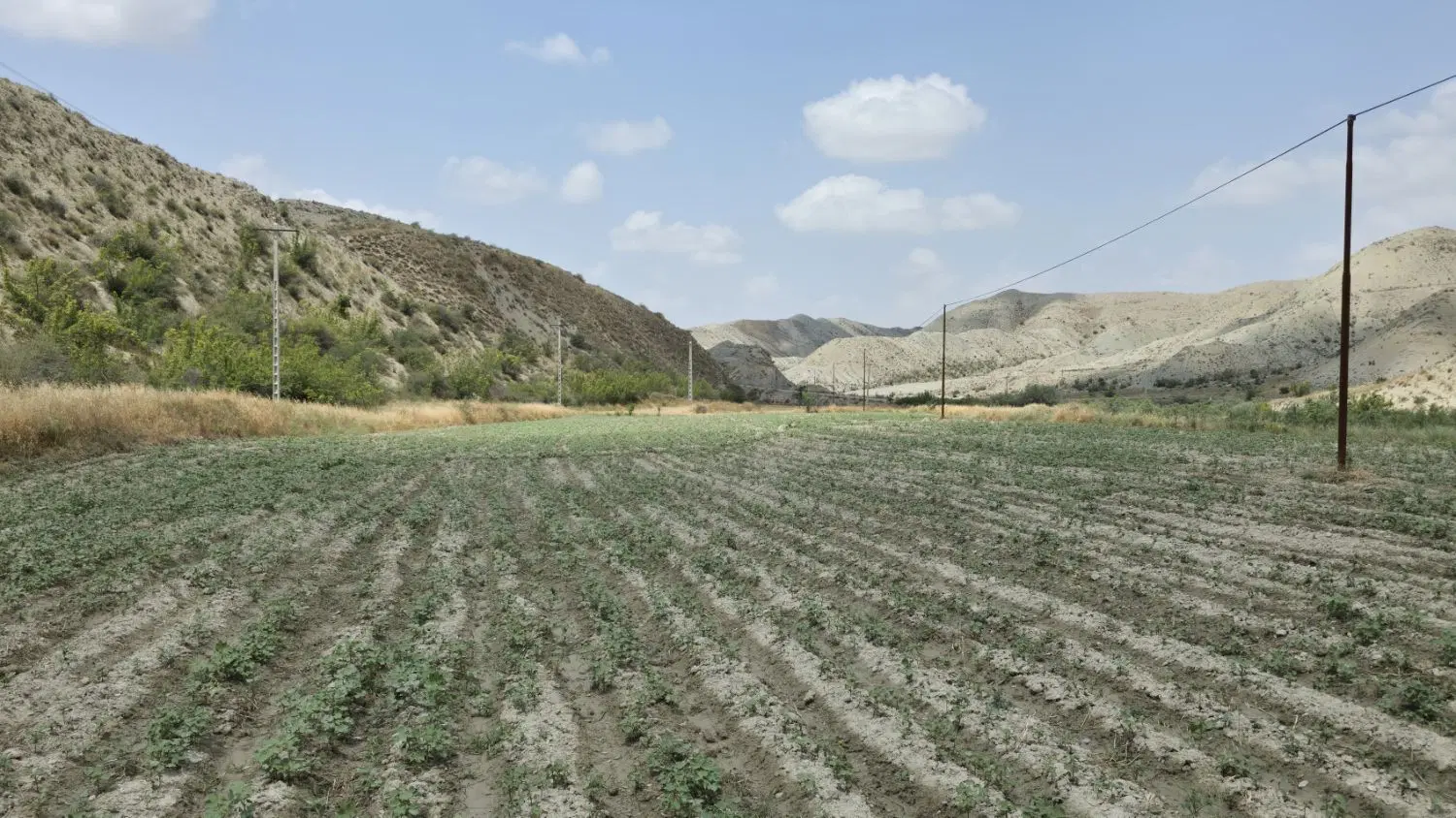 زمین کشاورزی