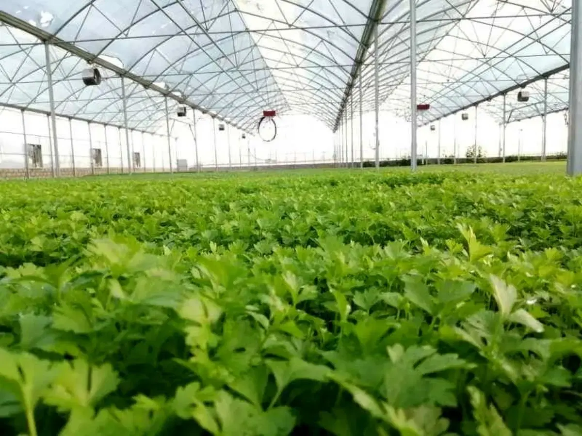 فروش گلخانه صنعتی مجهز