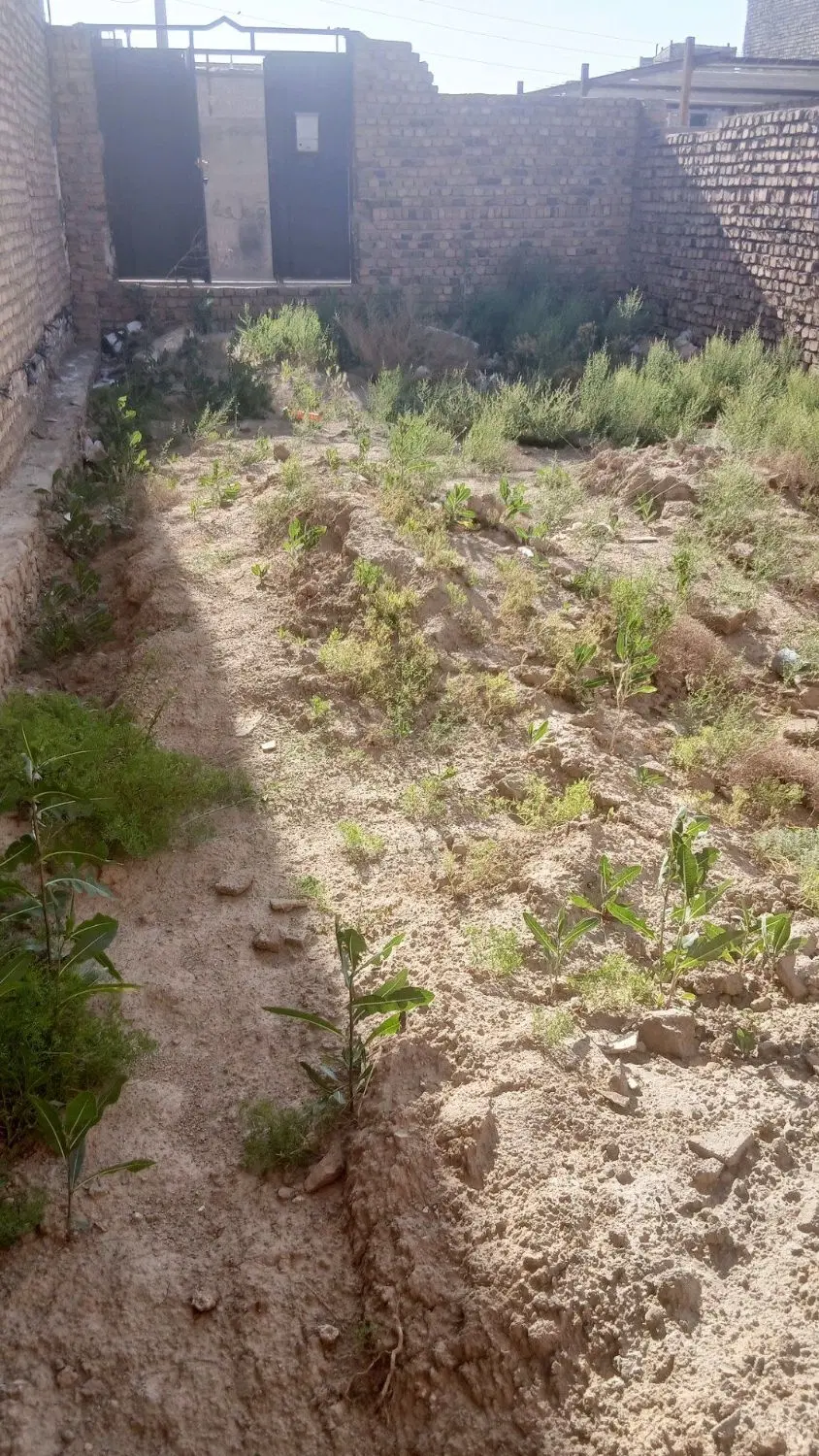 زمین  معاوضه باماشین