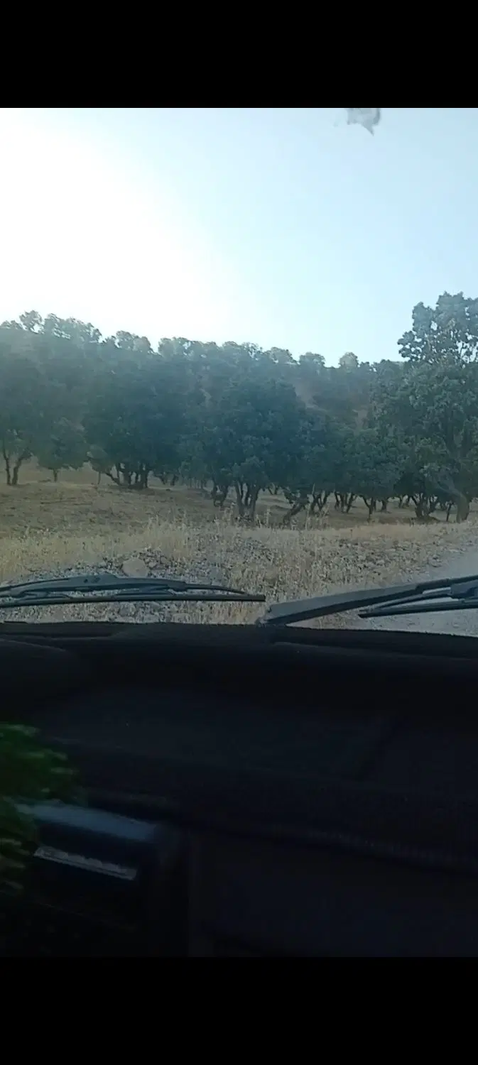 زمین خانه باغ در پشته