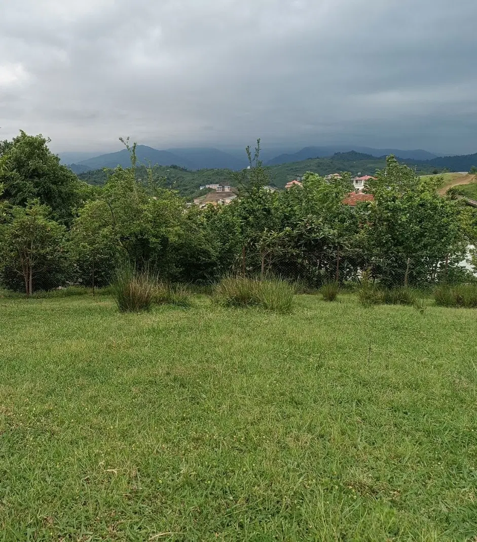فروش زمین در شمال کشور