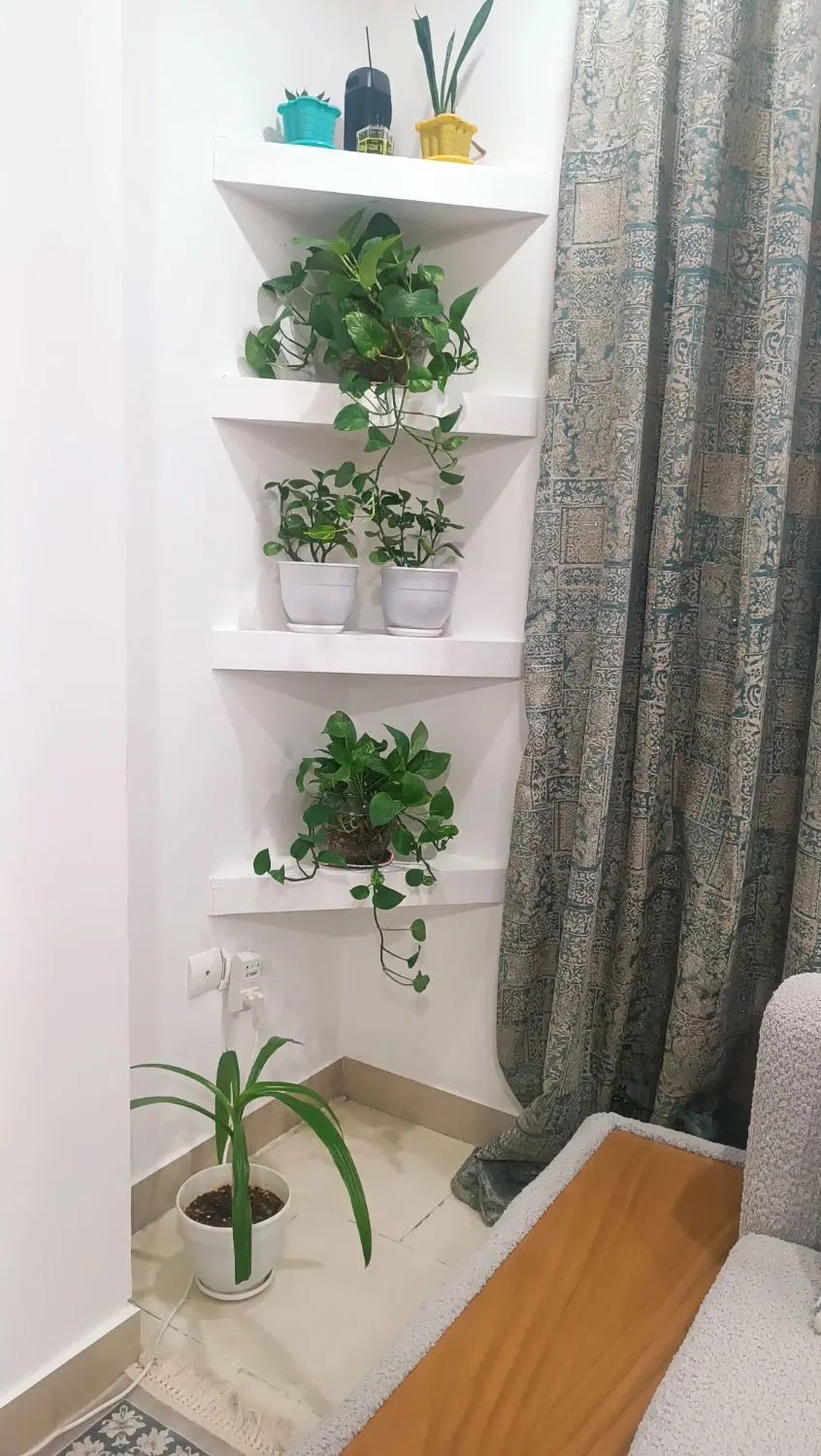 فروش خونه قشم شمالی