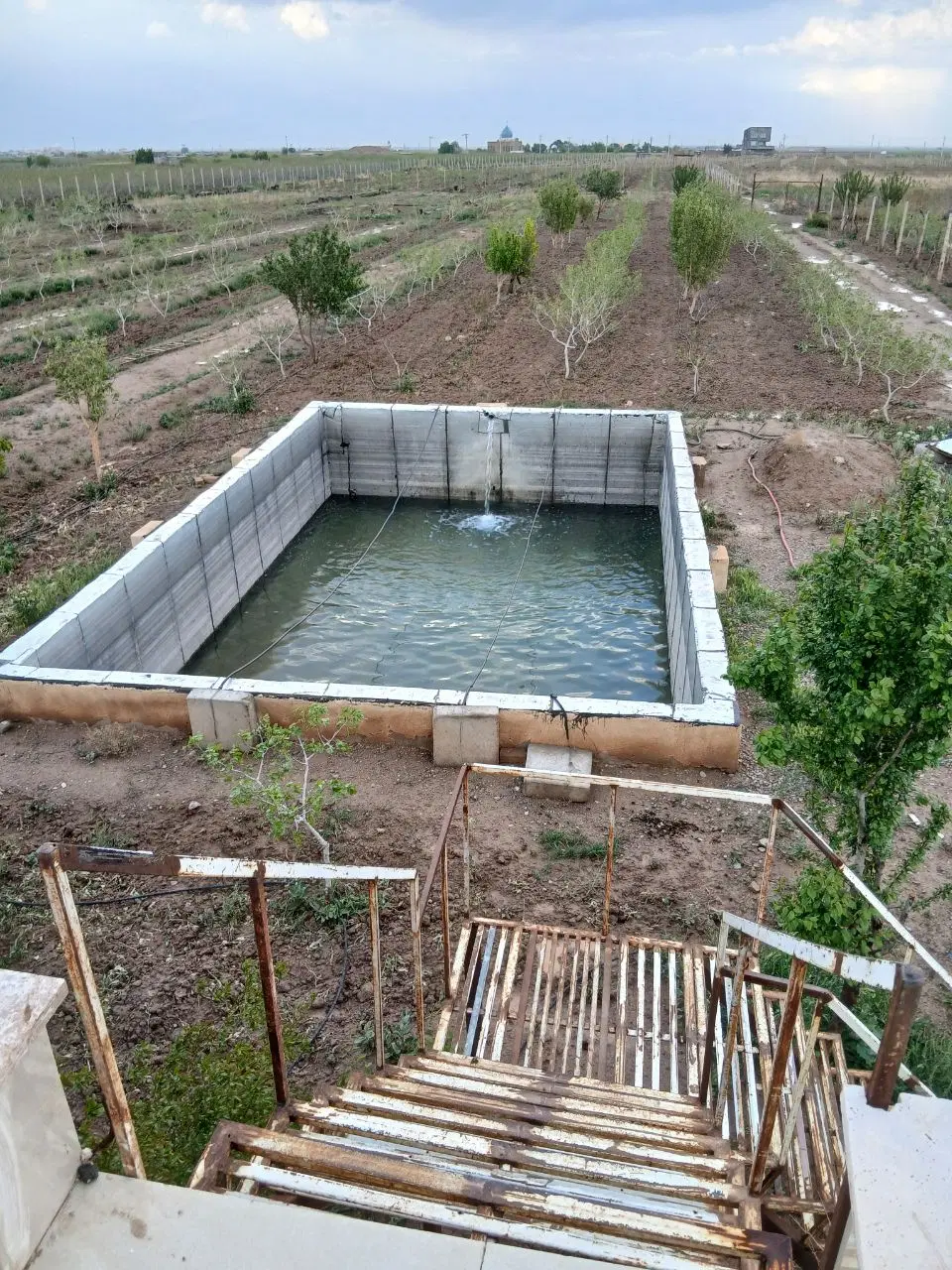 باغ پسته و ویلا و مجوز مرغداری تخمگزار