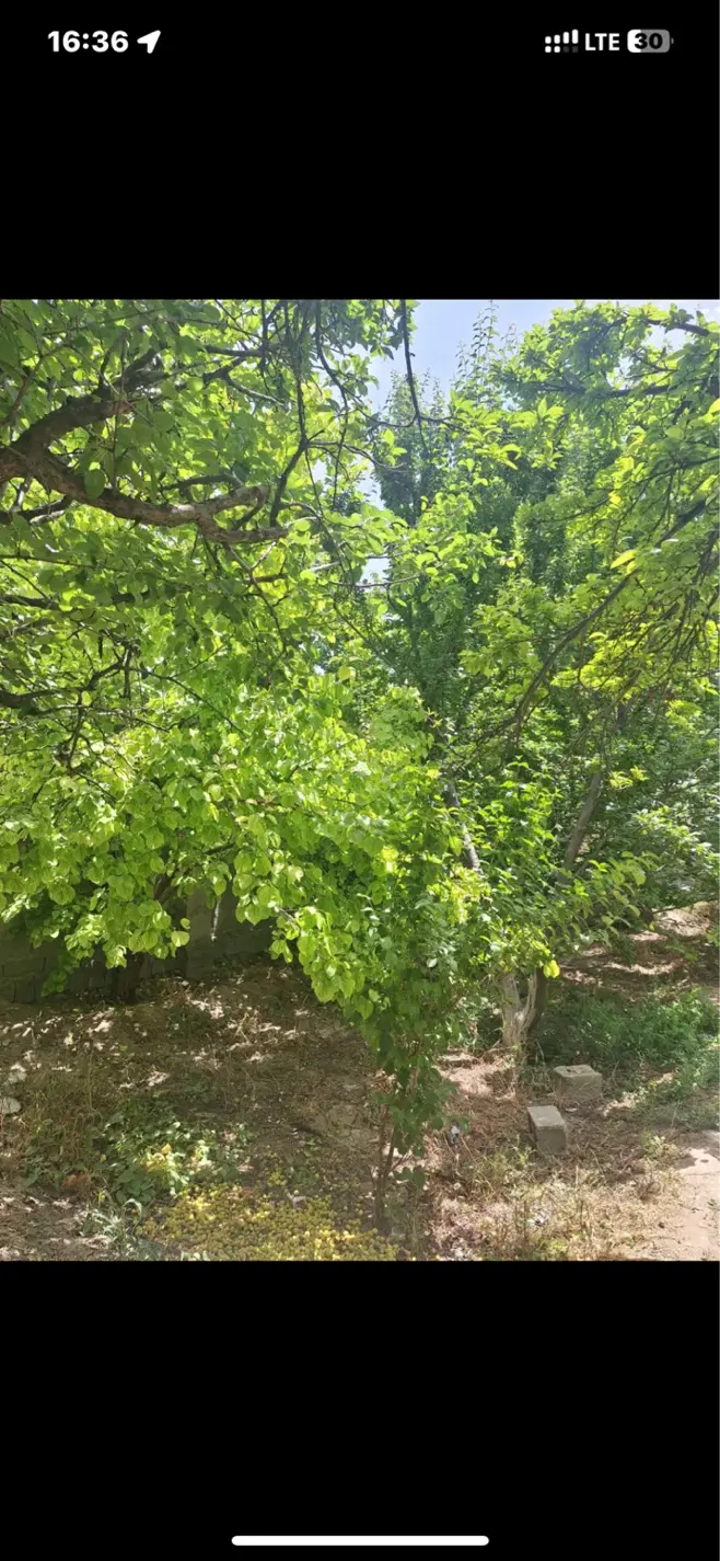 باغ ۸۰۰ متری اصیل اباد شهریار