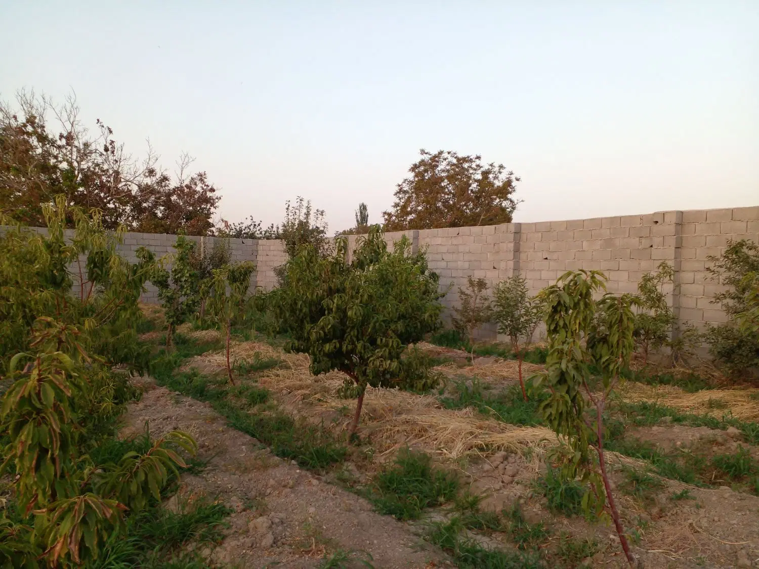 فروش زمین چهار دیواری اشترجان