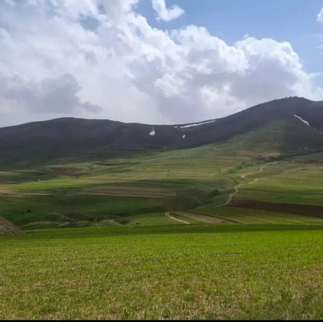 زمین مسکونی دیزج آباد 100 متر داخل محدوده(معاوضه)