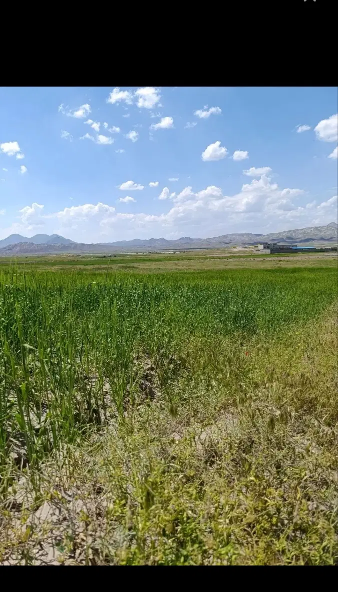 باغچه ۷۵۰متری