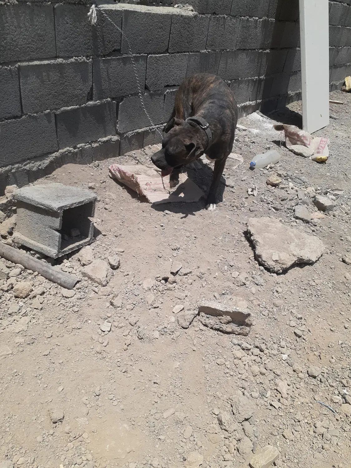 ۲۰۰ متر چار دیواری کانال نوربخش