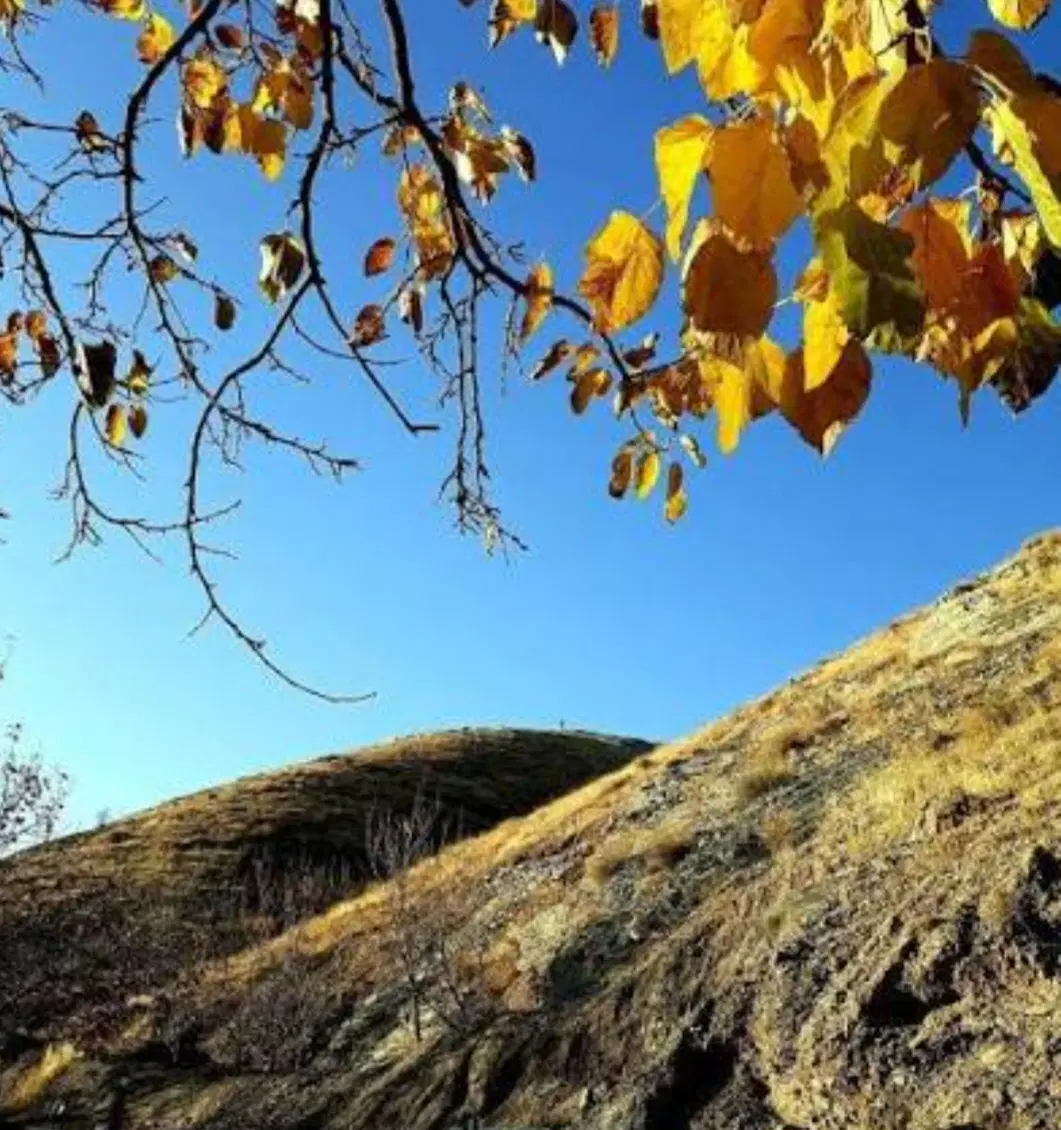 زمین فروشی ابرده