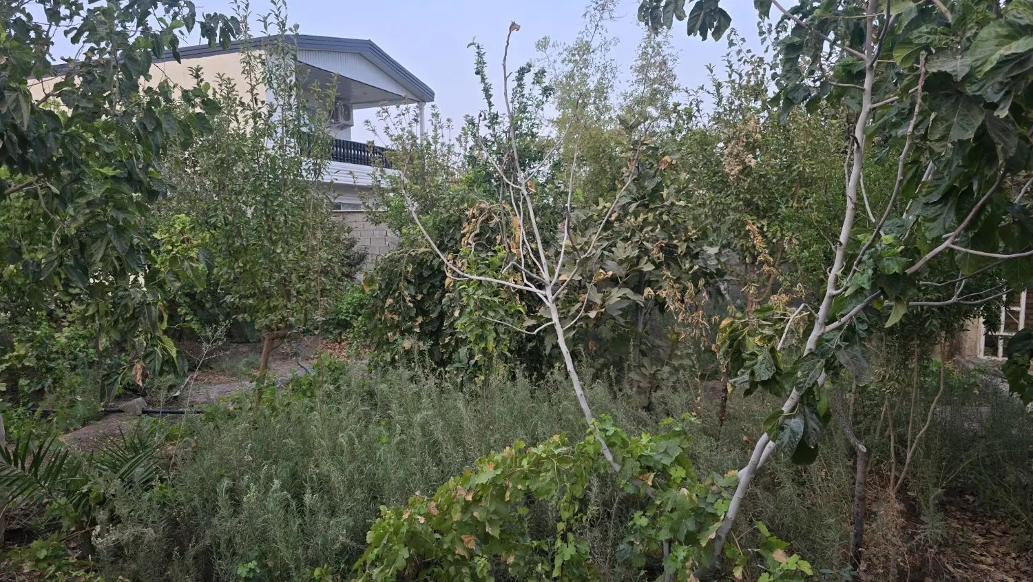 ویلا باغچه با پروانه ساخت