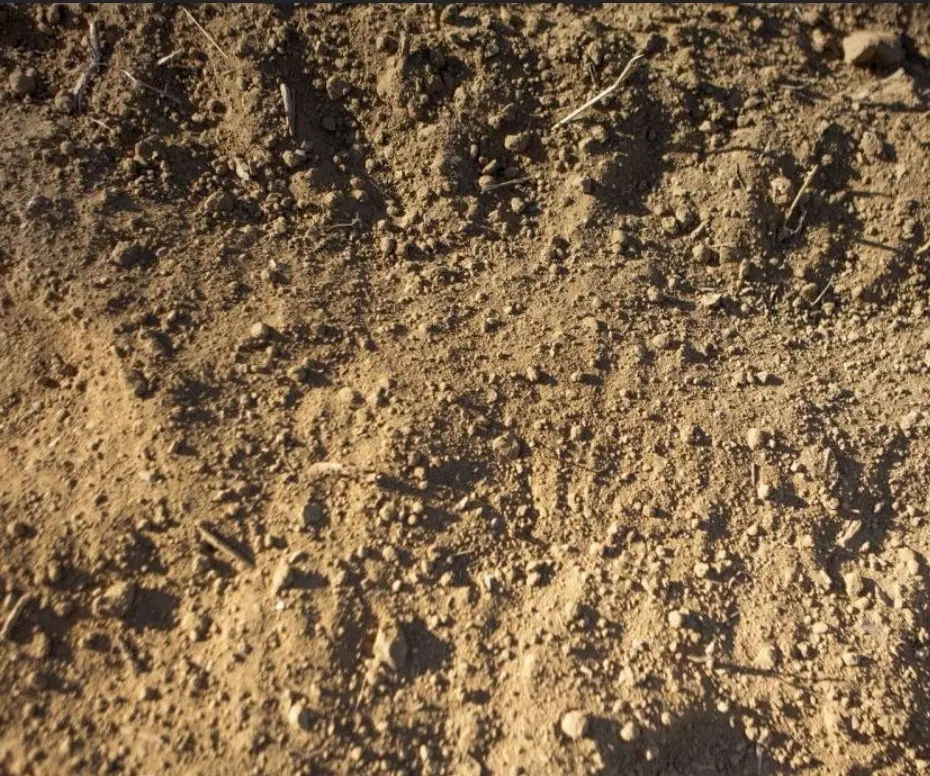 زمین مسکونی
