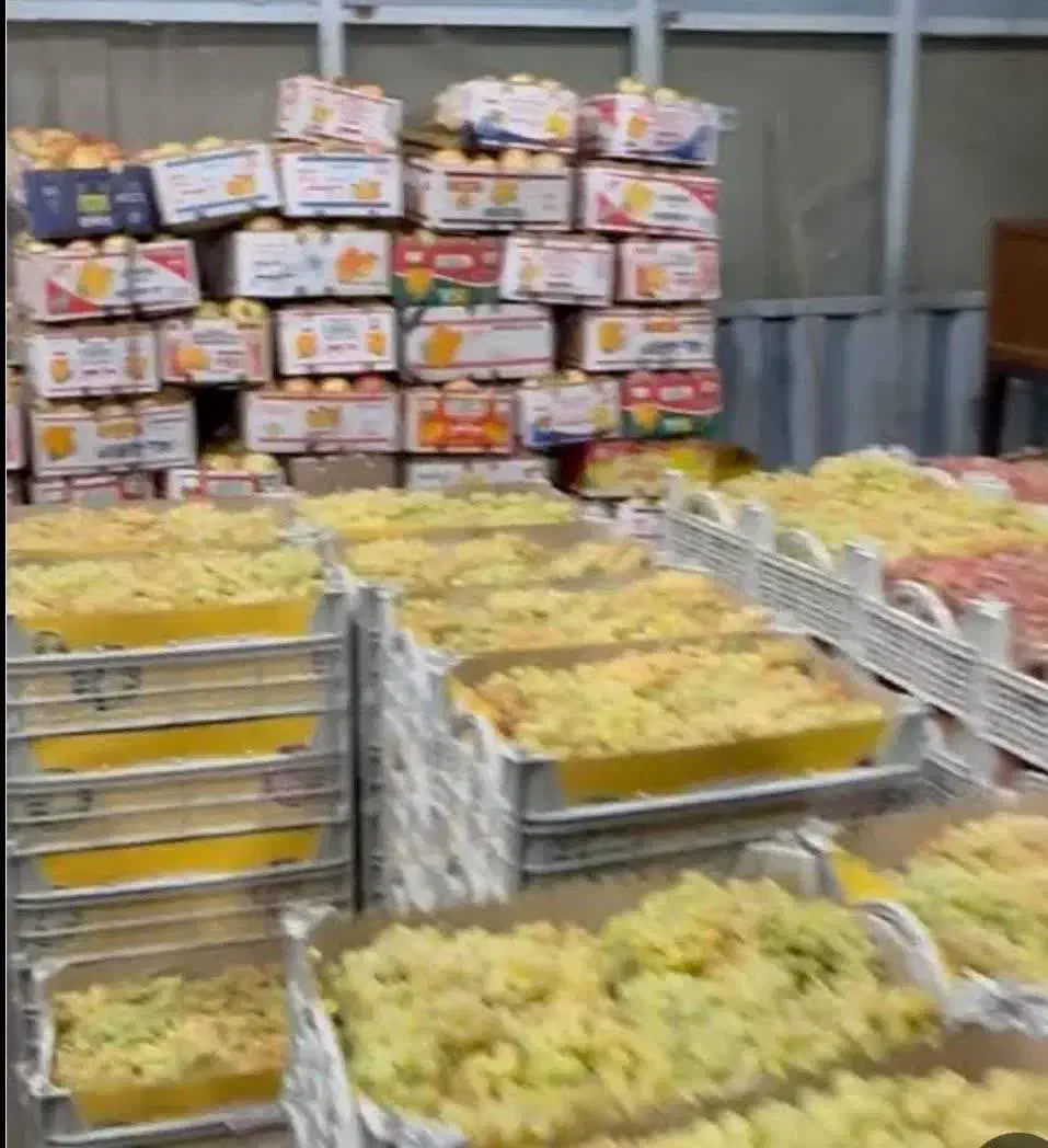 حجره میدان تره بار
