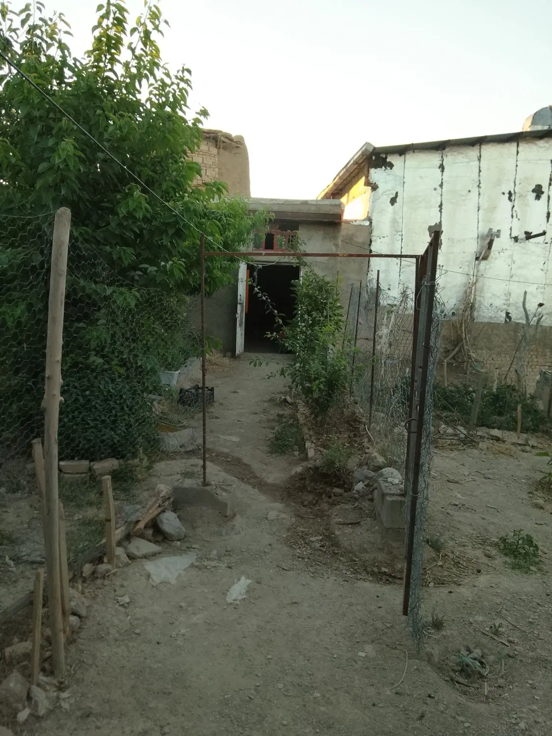 شراکت