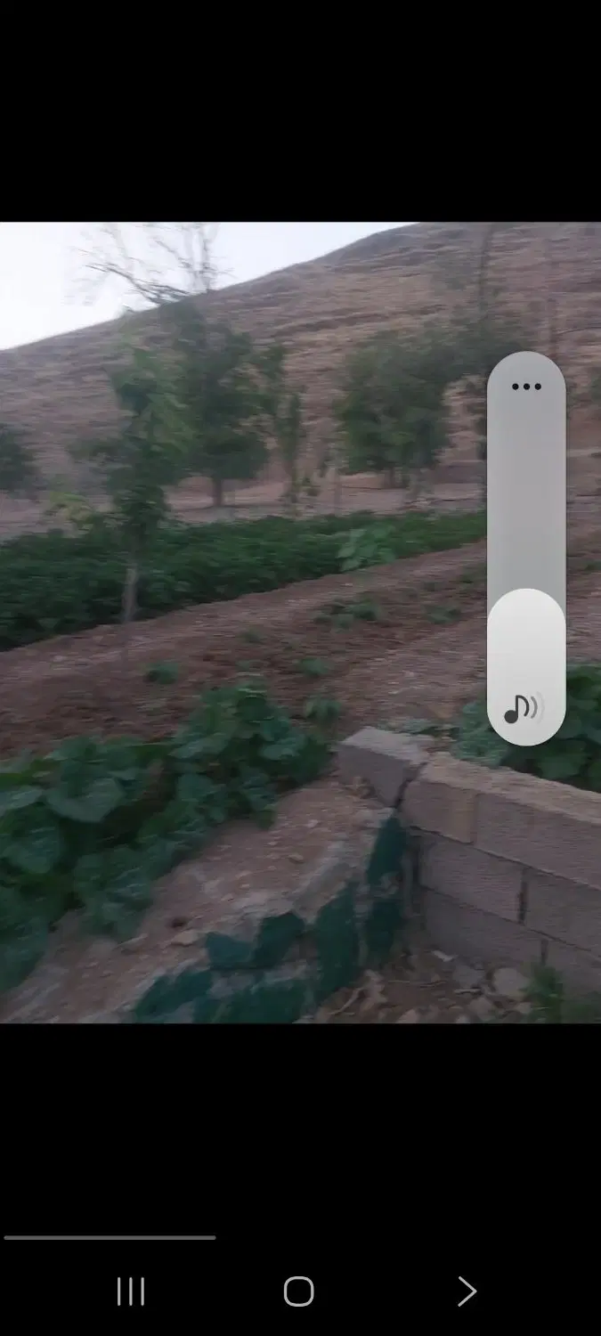 باغچه کرمجگان