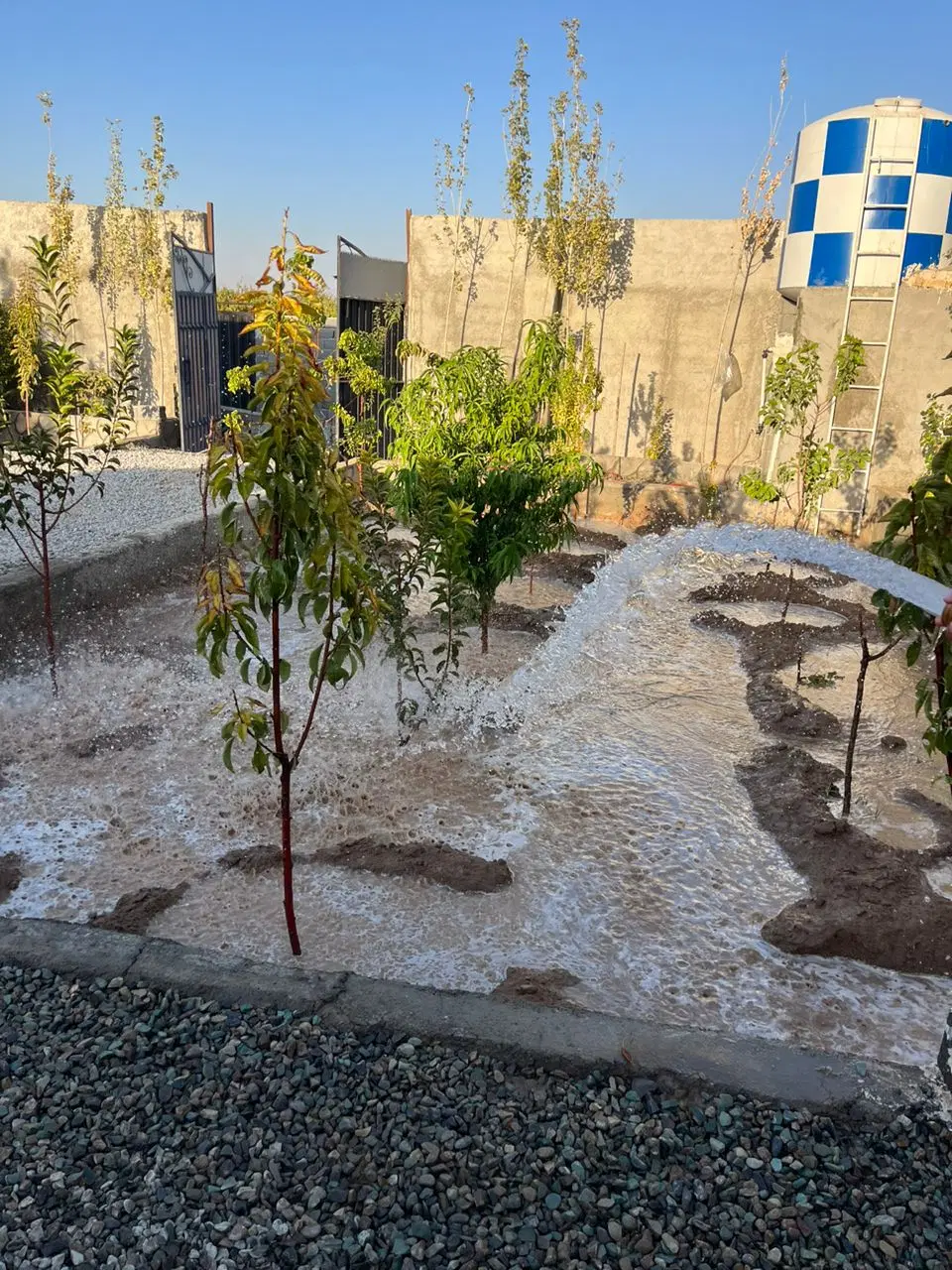 باغ و باغچه و ویلا