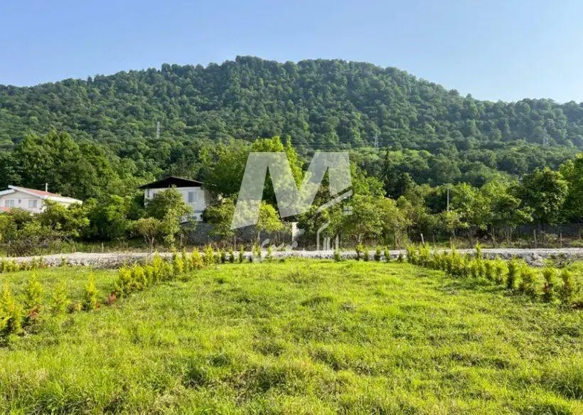 فروش زمین منابع طبیعی