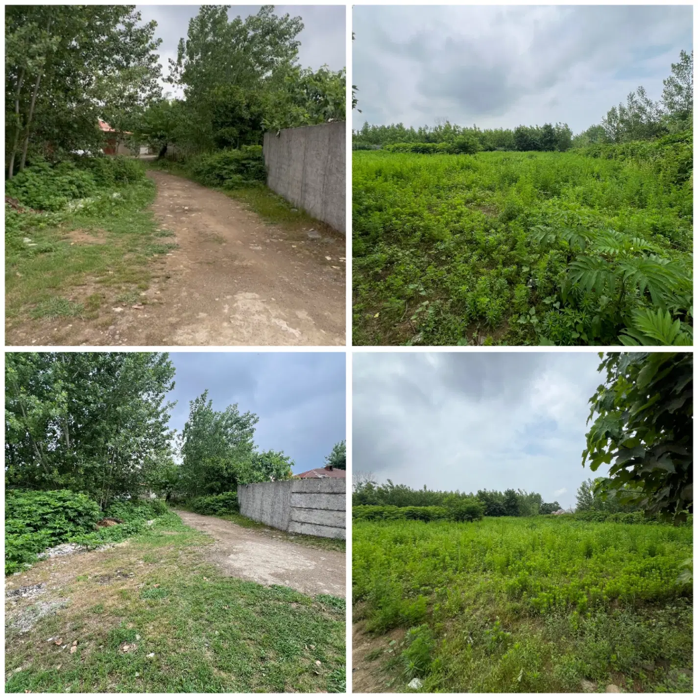 زمین باغی با پروانه ساخت