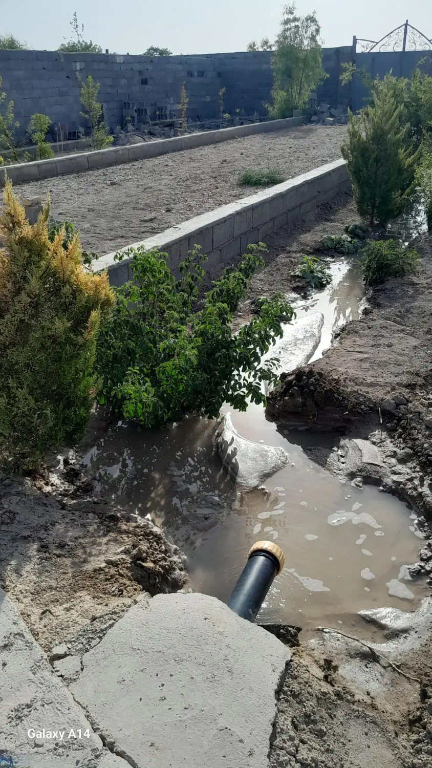 زمین باغی