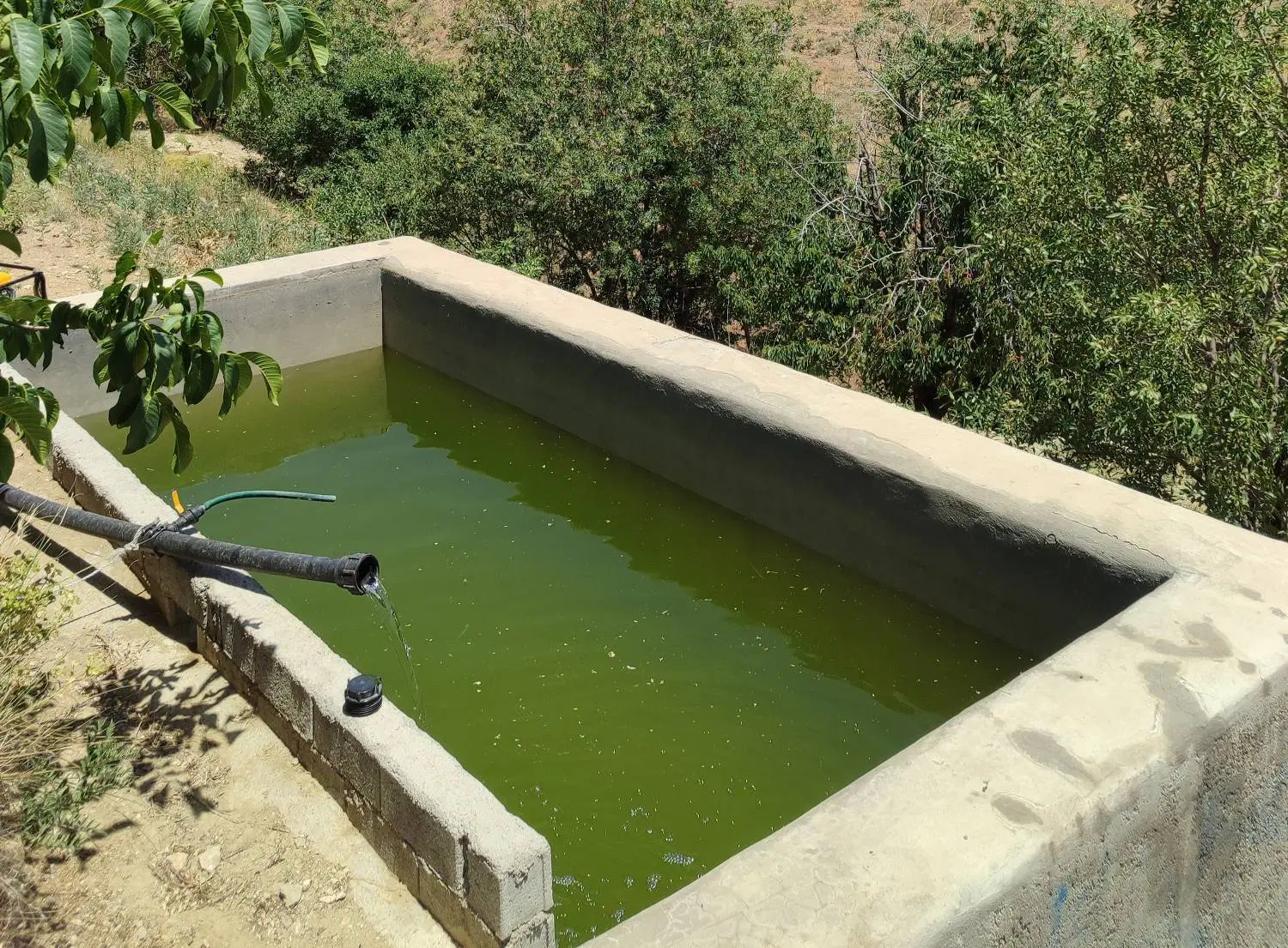 ۱۰۰۰ متر سند تک‌برگ شخصی طلق عرصه اعیان