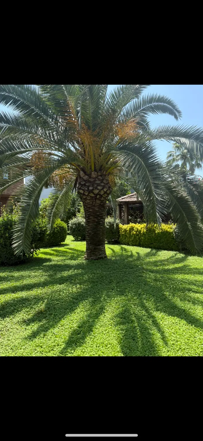 ویلا فروشی خزرشهر شمالی